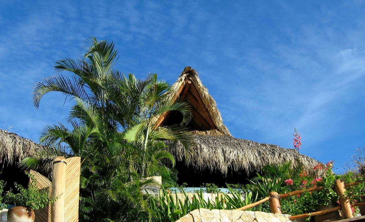 Amuleto Hotel Ixtapa  Esterno foto